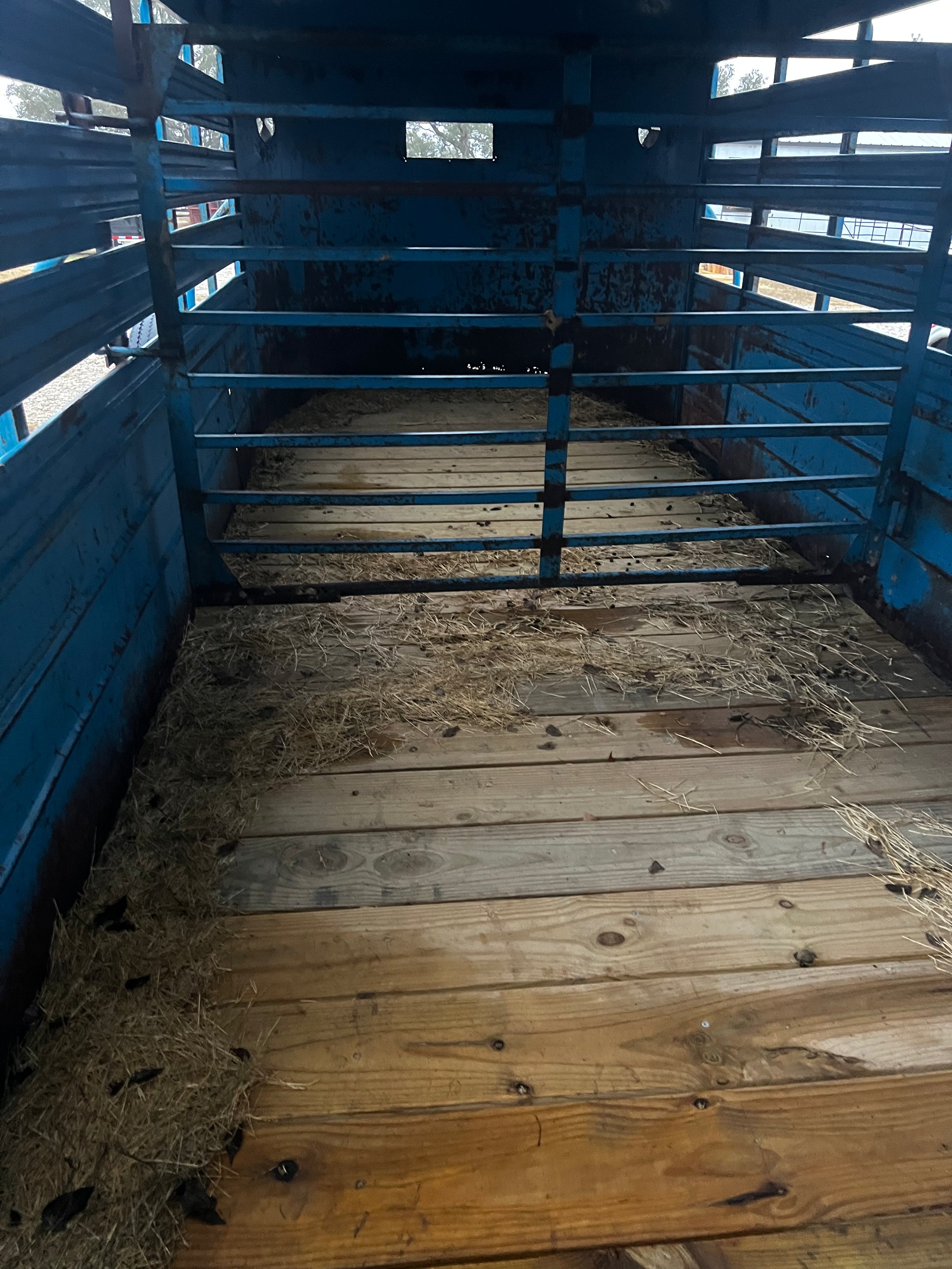 Blue WW Livestock Rental