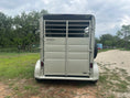 Load image into Gallery viewer, Calico 6x13x7 GOLD Horse Trailer-0655
