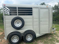 Load image into Gallery viewer, Calico 6x13x7 GOLD Horse Trailer-0655

