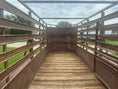 Load image into Gallery viewer, USED - Felps 1976 Livestock -5x16- 21248

