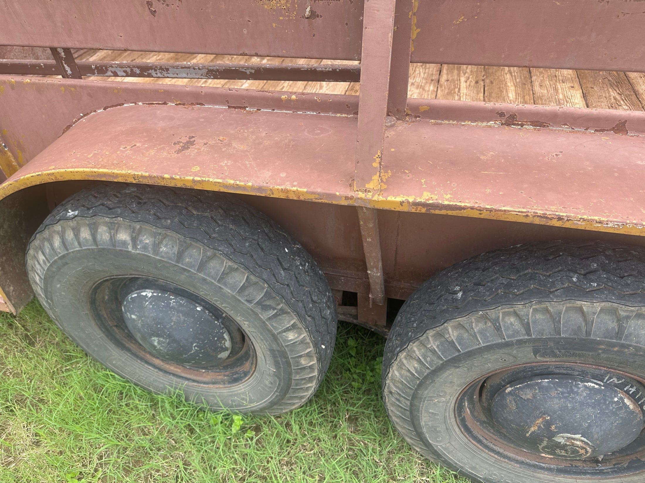 USED - Felps 1976 Livestock -5x16- 21248