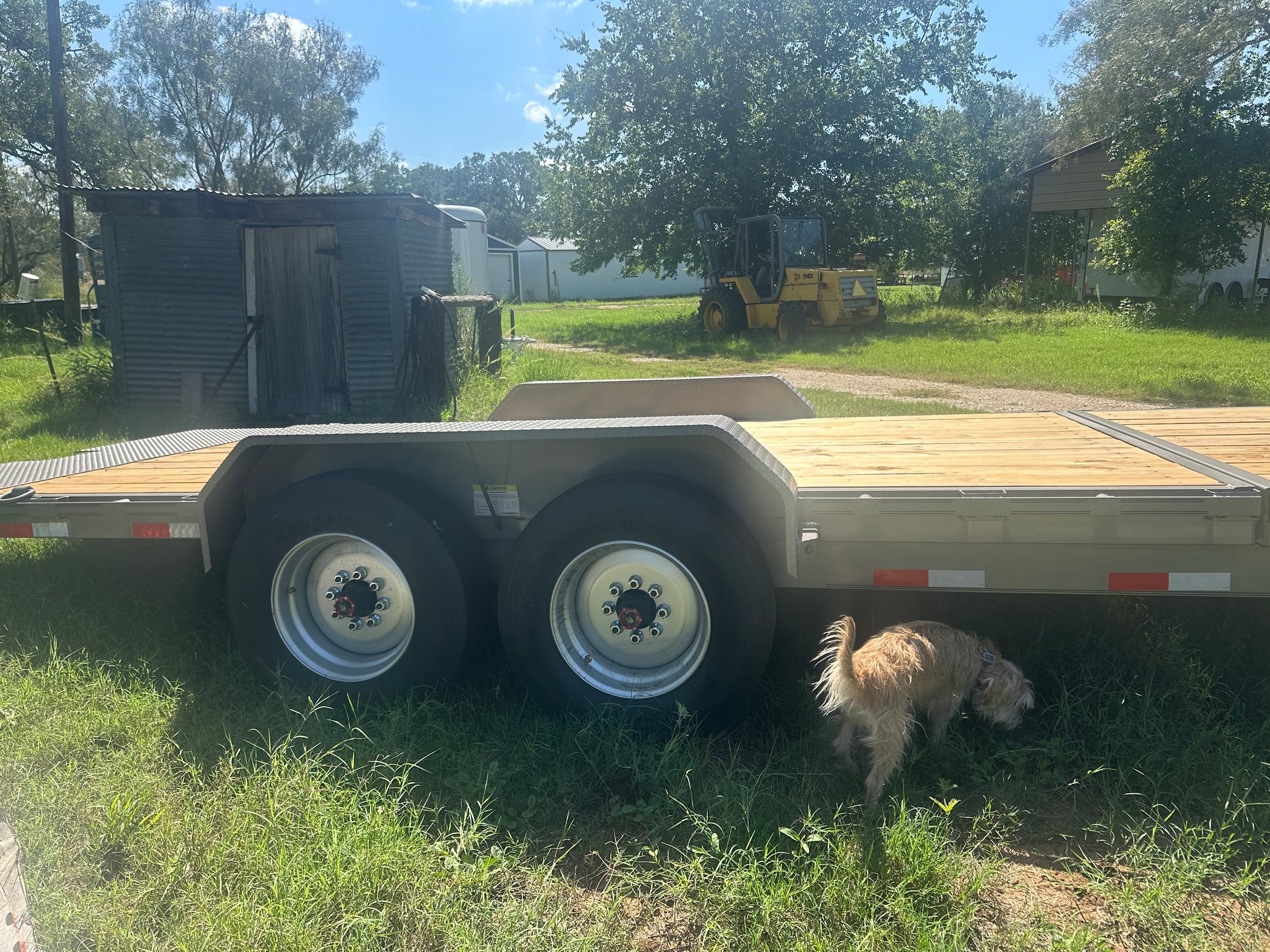 USED DP Platinum- 2025 Tilt 8k 83x22.5 - 1495