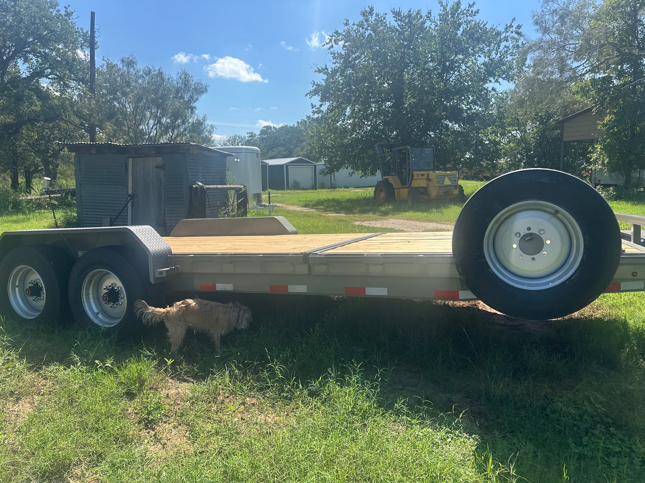 USED DP Platinum- 2025 Tilt 8k 83x22.5 - 1495