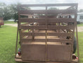 Load and play video in Gallery viewer, USED - Felps 1976 Livestock -5x16- 21248
